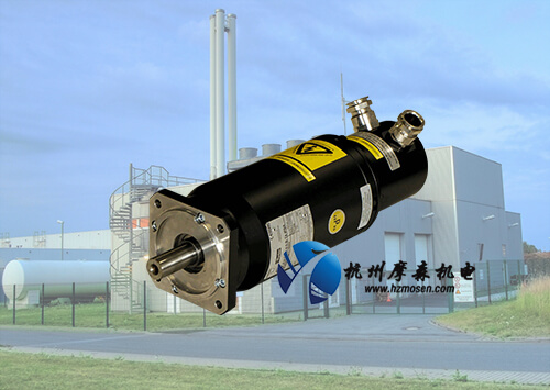 防爆伺服電機(jī)價格是否就能決定防爆電機(jī)品質(zhì)？
