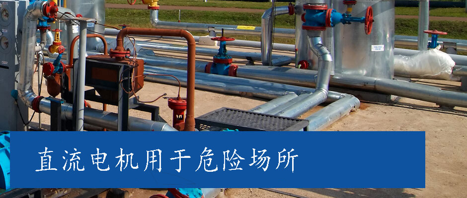 危險區(qū)域用途的低壓防爆伺服電機(jī)